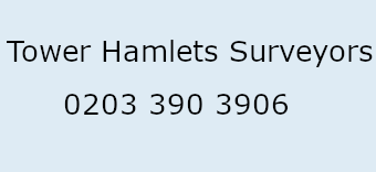 Tower Hamlets Surveyor Logo